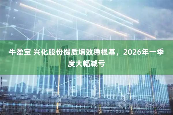 牛盈宝 兴化股份提质增效稳根基，2026年一季度大幅减亏