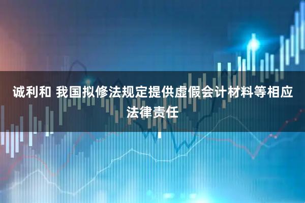 诚利和 我国拟修法规定提供虚假会计材料等相应法律责任