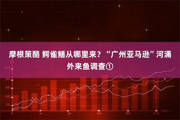 摩根策酪 鳄雀鳝从哪里来？“广州亚马逊”河涌外来鱼调查①
