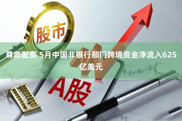 尊鼎配资 5月中国非银行部门跨境资金净流入625亿美元